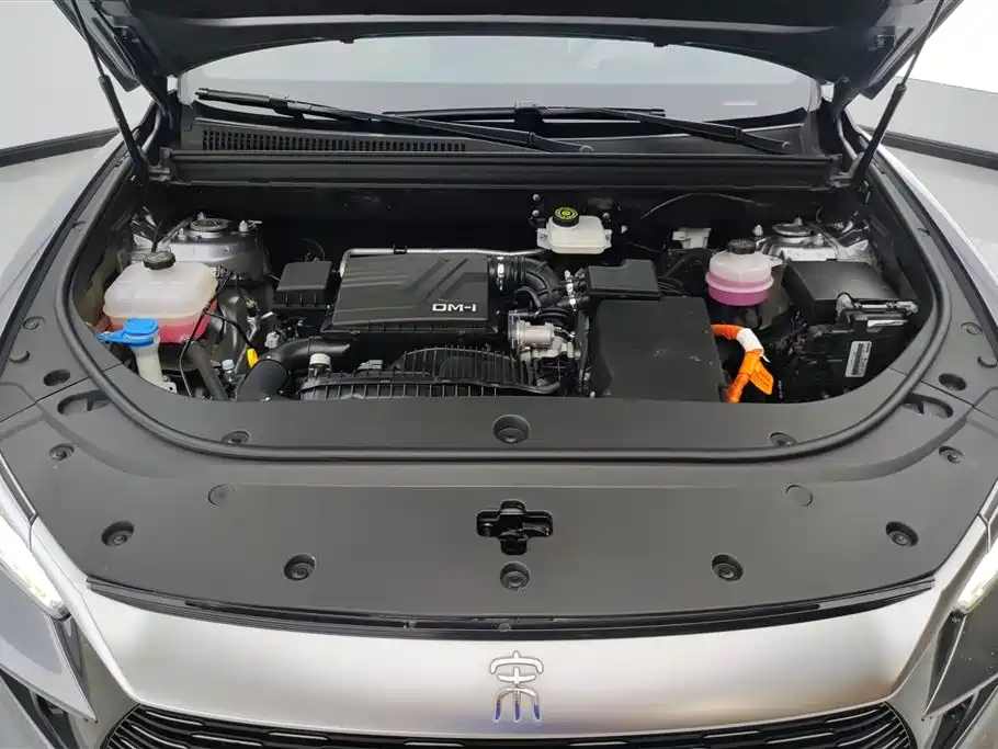 BYD Pro New Energy 2024 — фото 10
