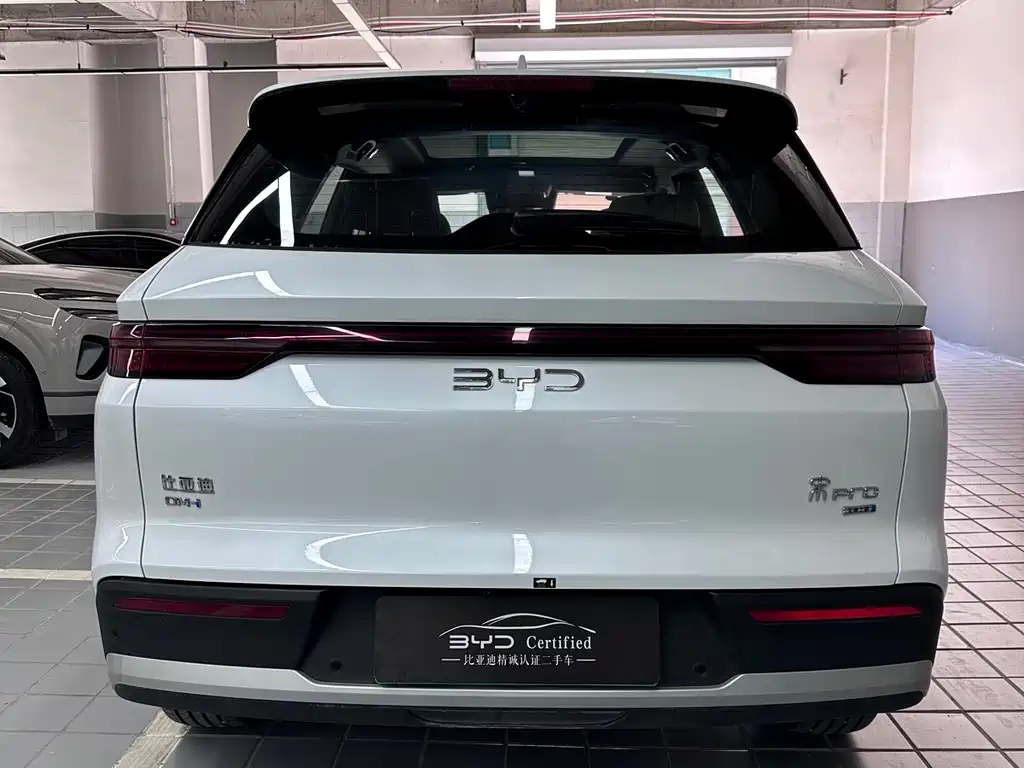 BYD Pro New Energy 2025 — фото 10