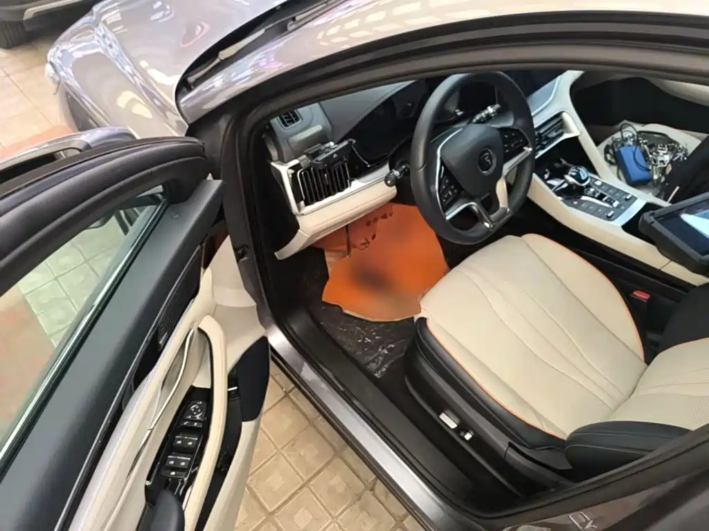 BYD PLUS New Energy 2021 — фото 16