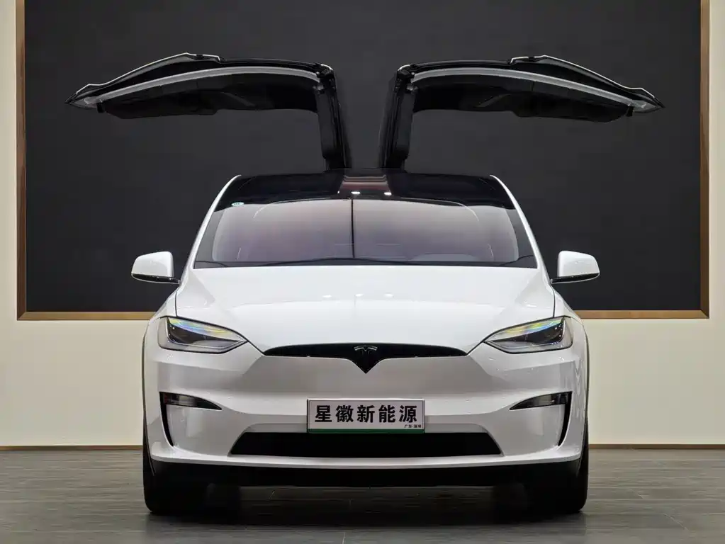 Tesla Model X 2024 — фото 2