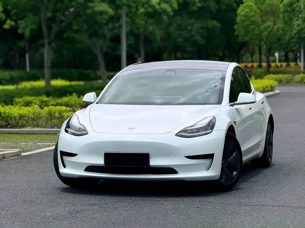 Tesla Model 3 2020 — фото 1