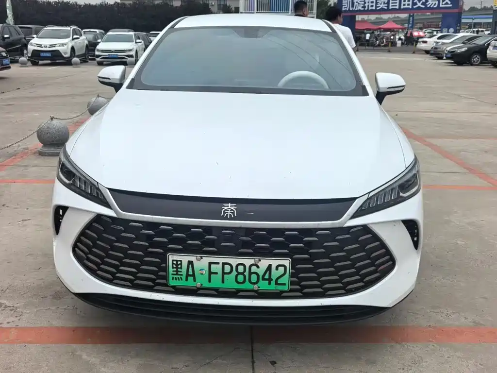 BYD Qin PLUS 2025 — фото 2