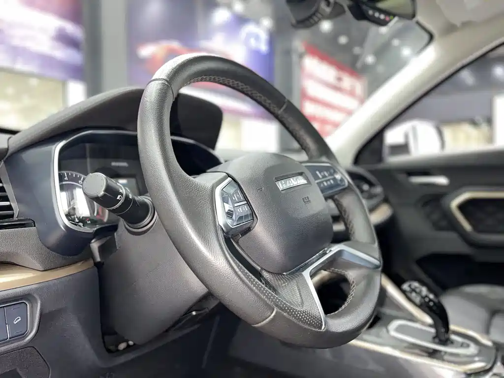 Haval H6 2021 — фото 10