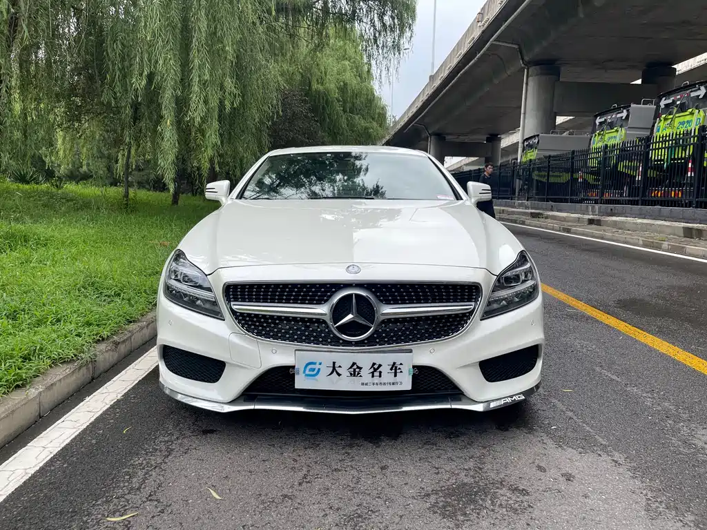 Mercedes-Benz CLS 2016 — фото 2