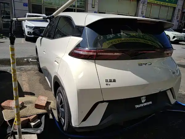 BYD Seagull 2024