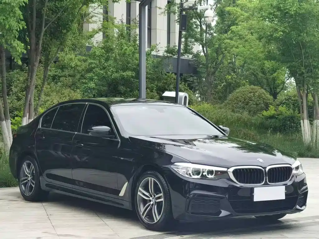 BMW 5 Series 2020