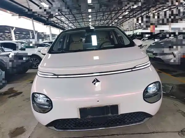 Baojun Yunduo 2024