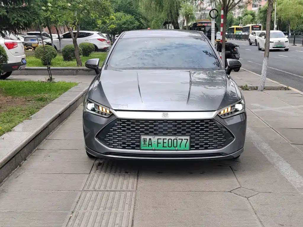 BYD Qin PLUS 2024 — фото 3