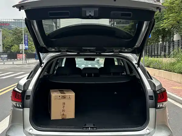 Lexus RX 2020