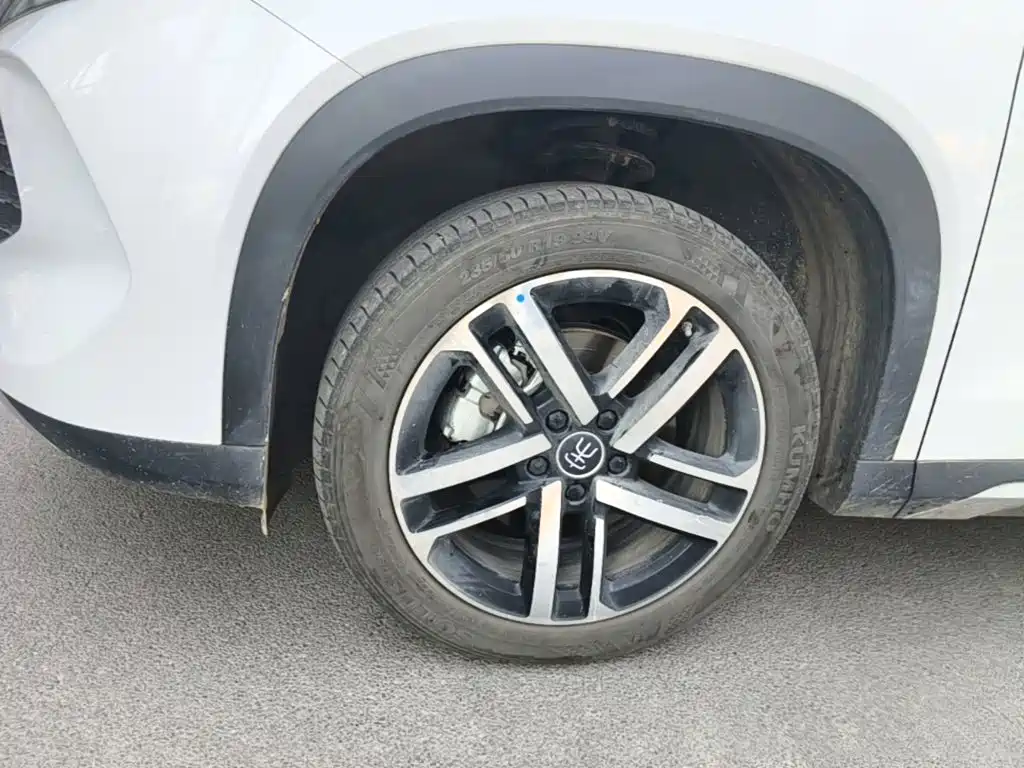 BYD L DM-i 2024 — фото 23