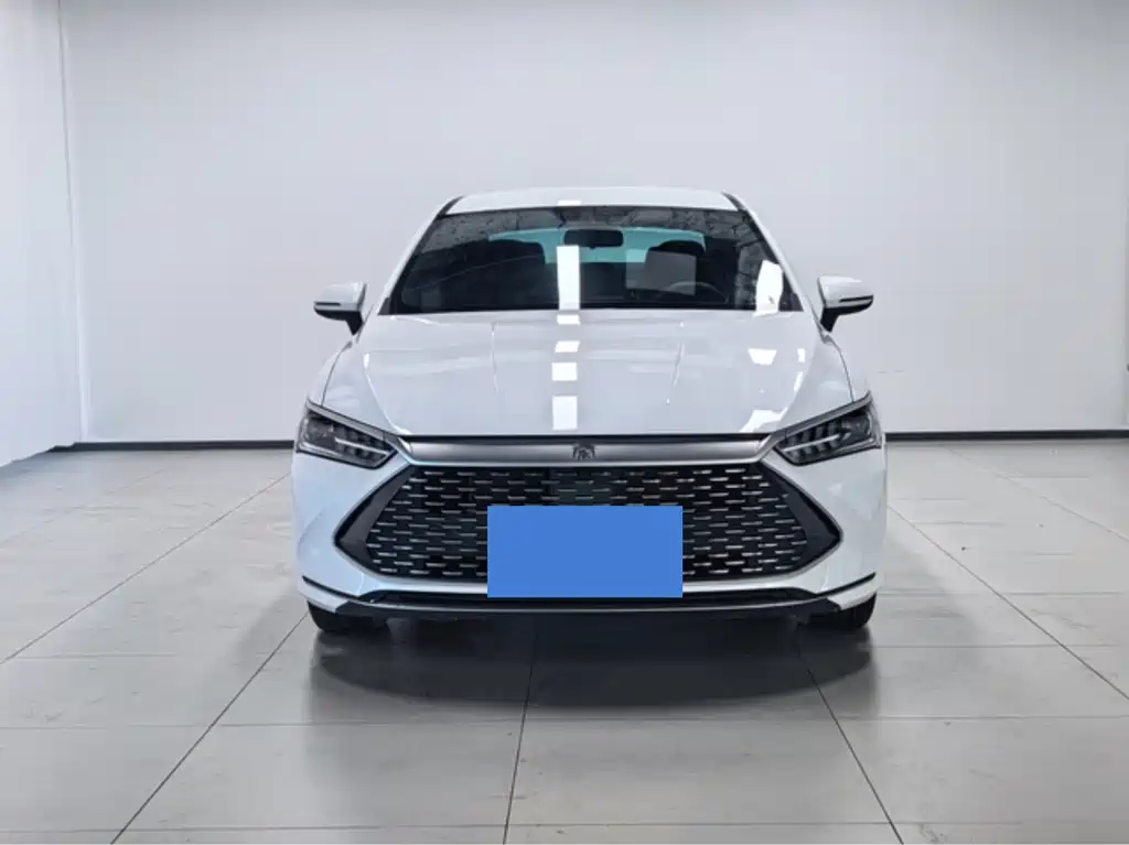 BYD Qin PLUS 2023 — фото 2