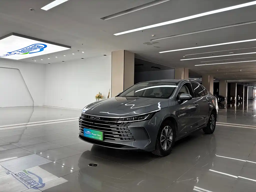 BYD Destroyer 05 2024