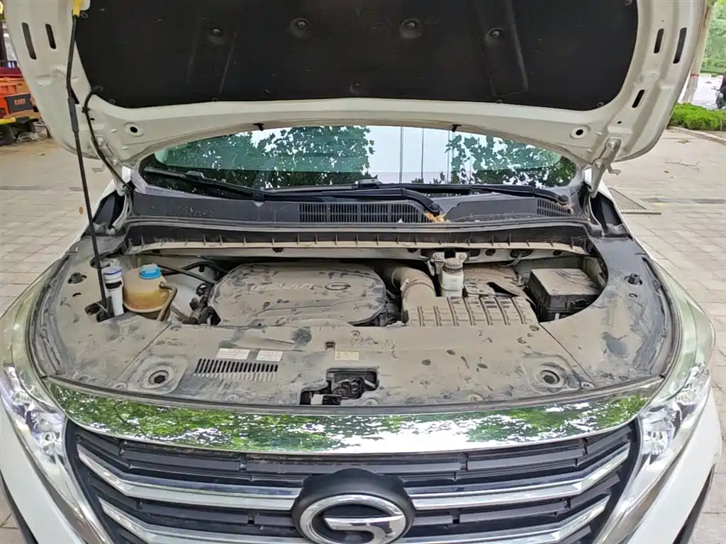 GAC Motor Trumpchi M8 2021 — фото 20
