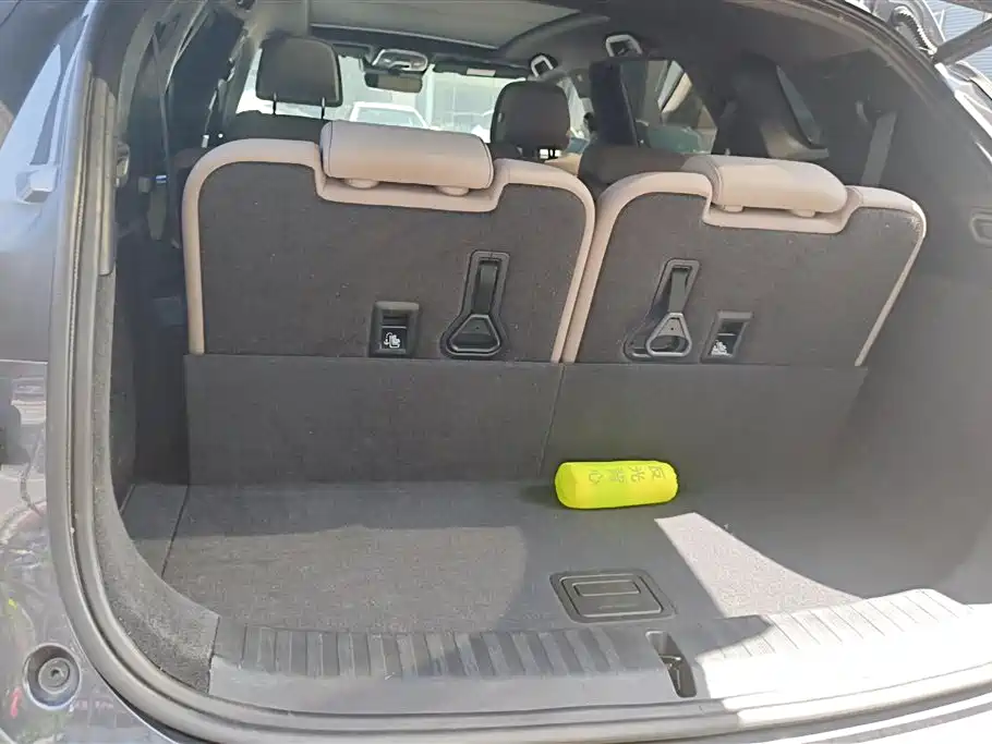 BYD Tang New Energy 2024