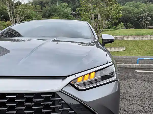 BYD Qin PLUS 2021