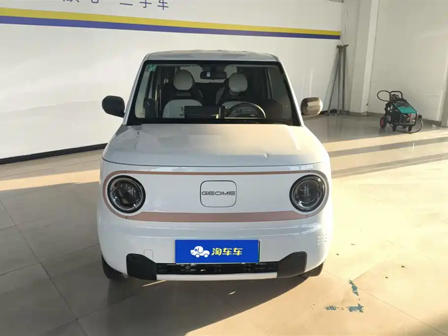 Geely Galaxy Panda 2024