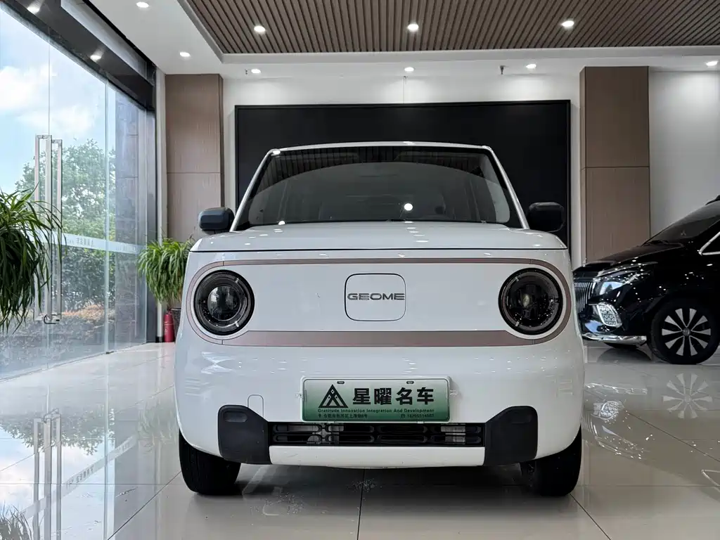 Geely Galaxy Panda 2024 — фото 3