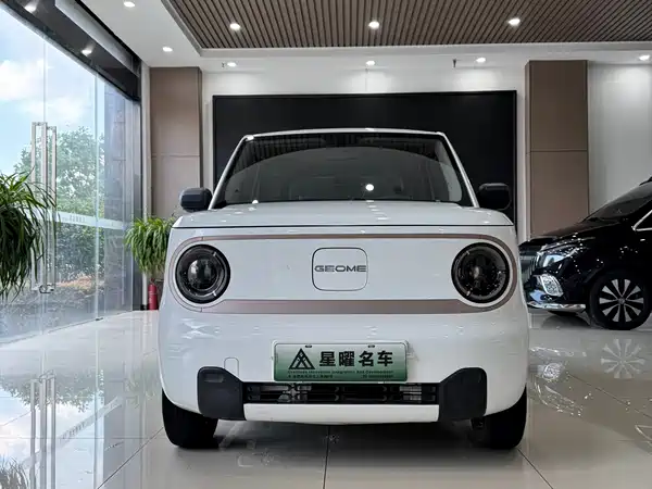 Geely Galaxy Panda 2024