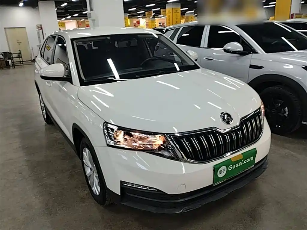 Skoda Kamiq 2019 — фото 22