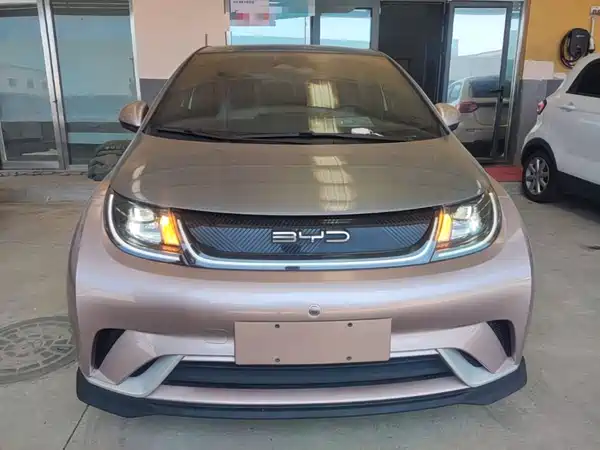 BYD Dolphin 2022