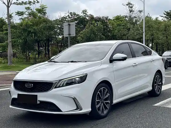 Geely Binrui 2021