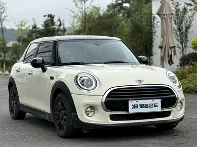 MINI MINI 2019