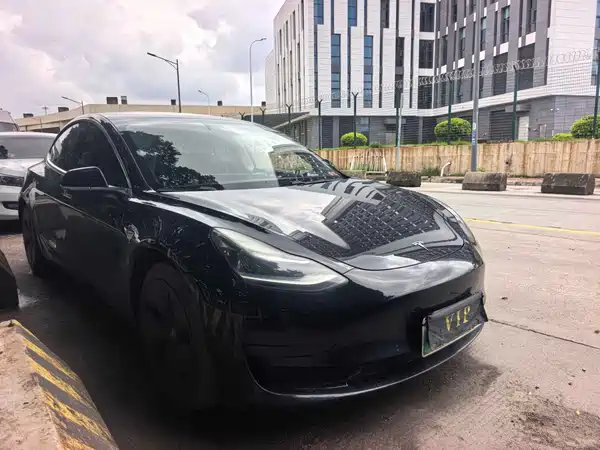 Tesla Model 3 2020