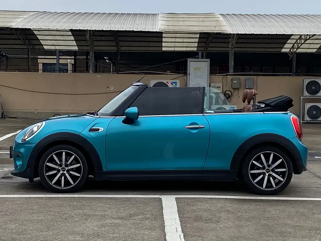 MINI MINI 2019