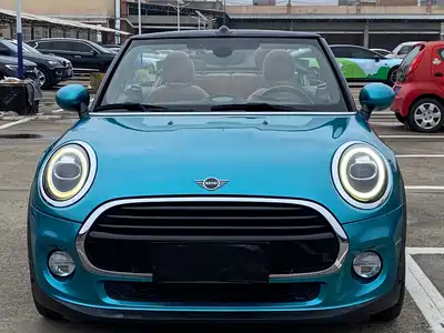 MINI MINI 2019