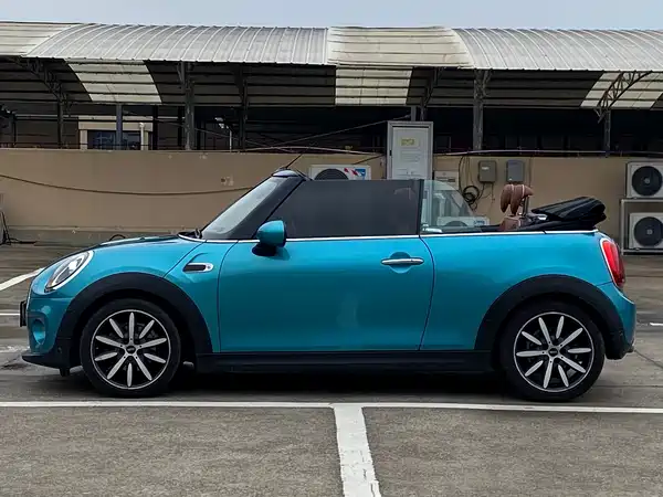 MINI 2019