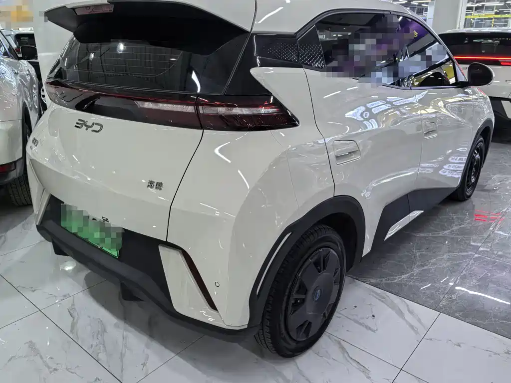 BYD Seagull 2024