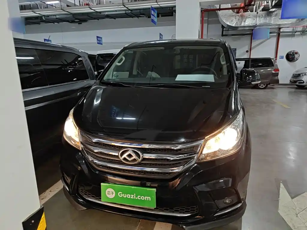 Maxus G10 2019