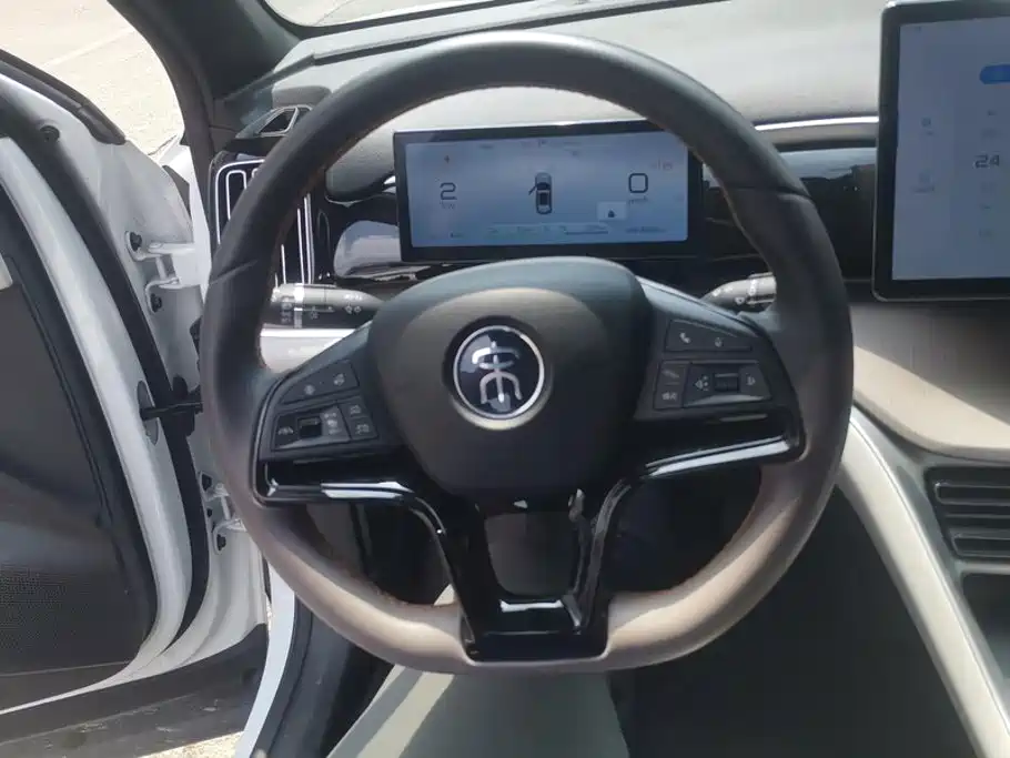 BYD Song Pro New Energy 2024 — фото 15