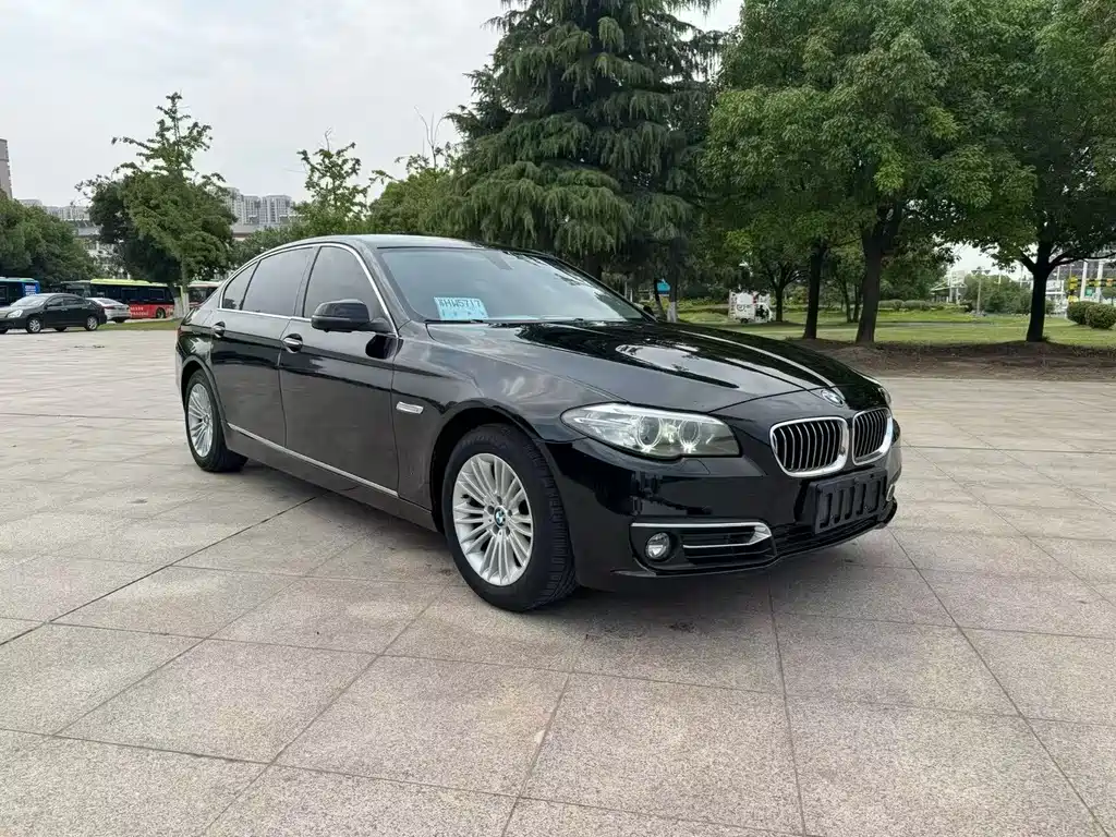 BMW 5 Series 2015
