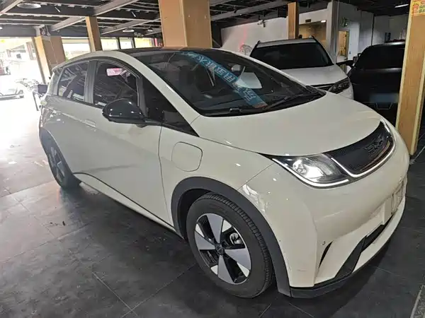 BYD Dolphin 2023
