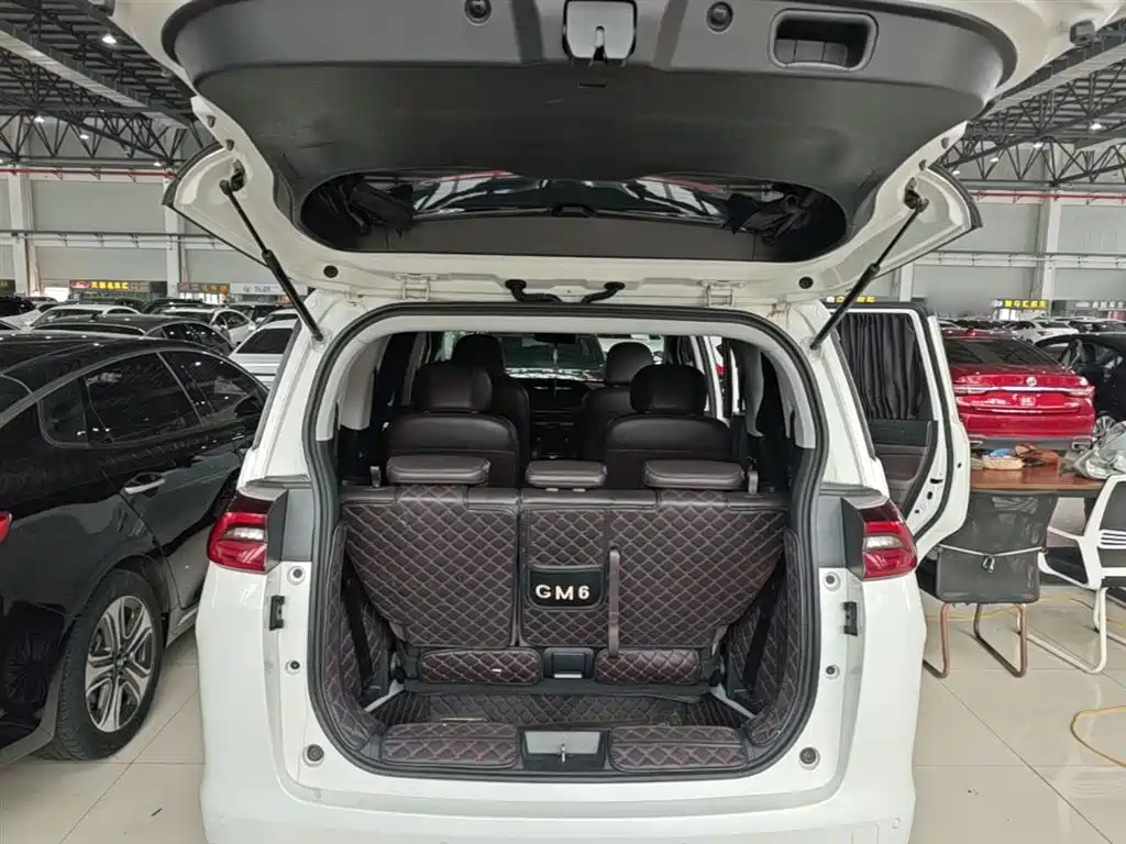 GAC Motor Trumpchi M6 2020 — фото 19