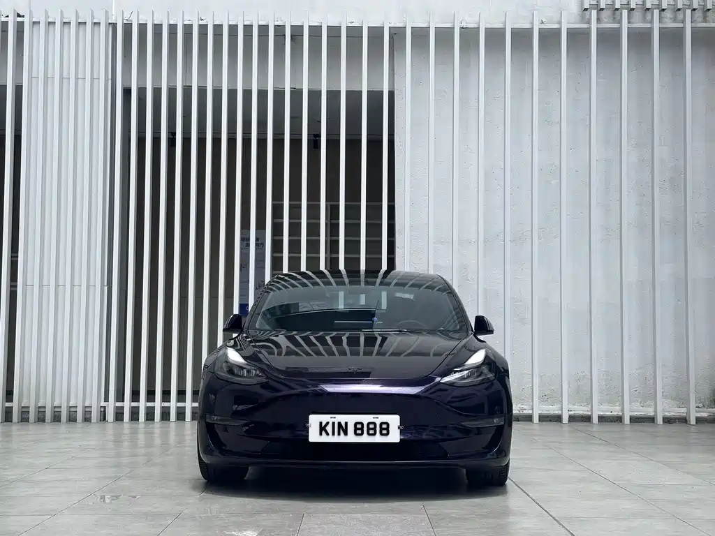 Tesla Model 3 2021