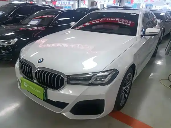 BMW 5 Series New Energy 2021