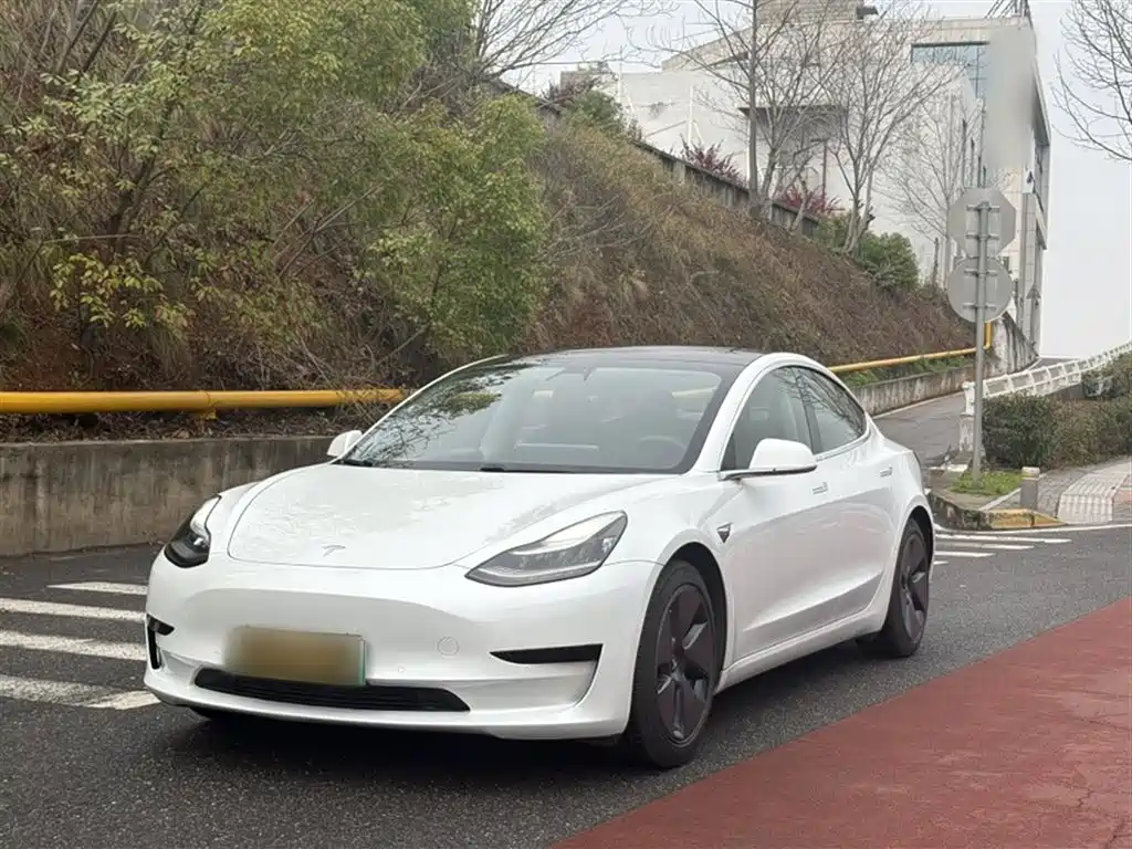 Tesla Model 3 2020 — фото 1
