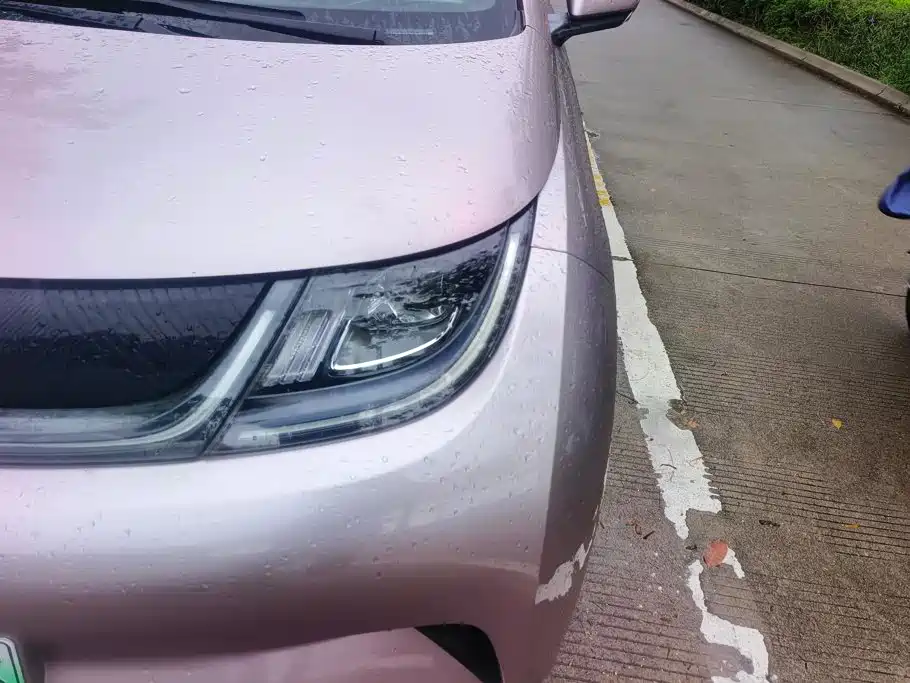 BYD Dolphin 2022