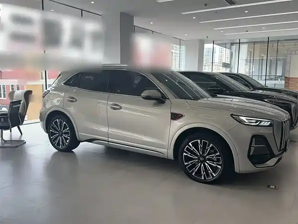 Hongqi HS5 2023