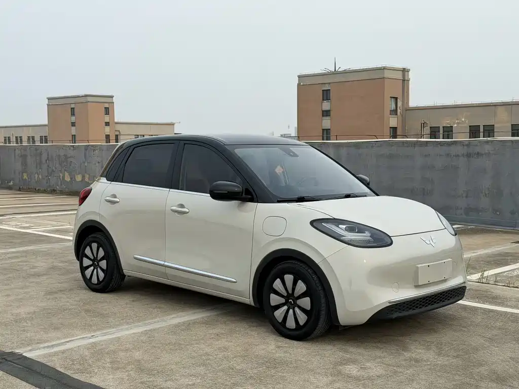Wuling Bingo 2024