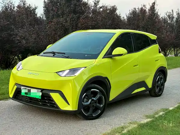 BYD Seagull 2024