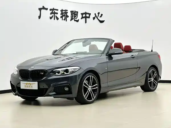BMW 2 Series 2019