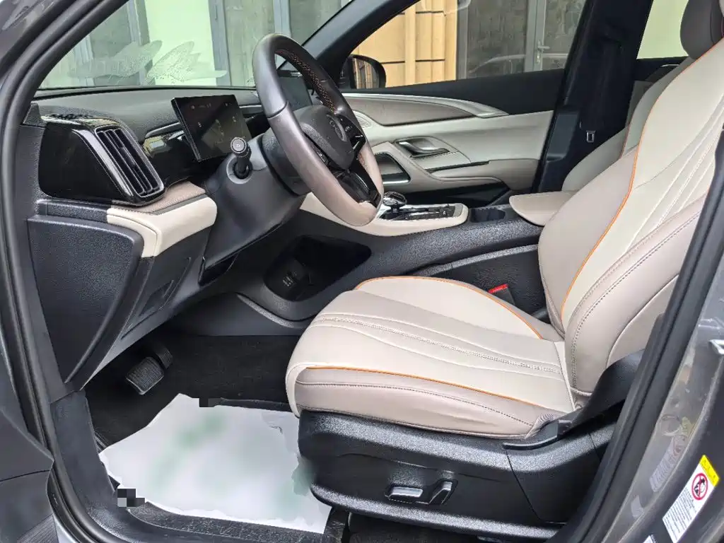 BYD Song Pro New Energy 2024 — фото 11