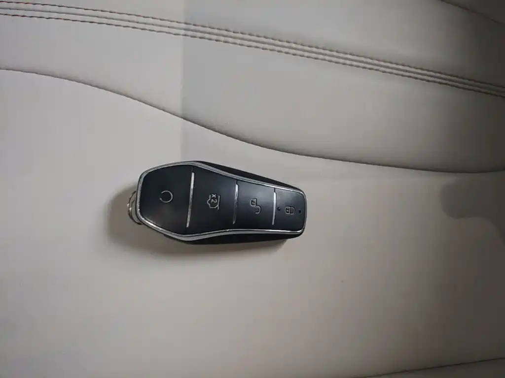 BYD Song Pro New Energy 2024 — фото 17