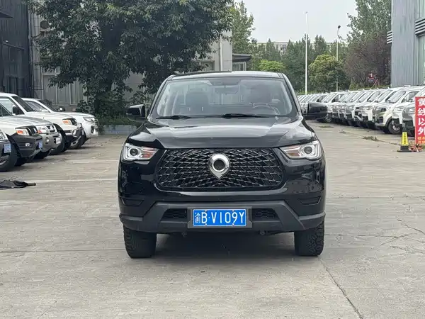 Great Wall Poer 2021