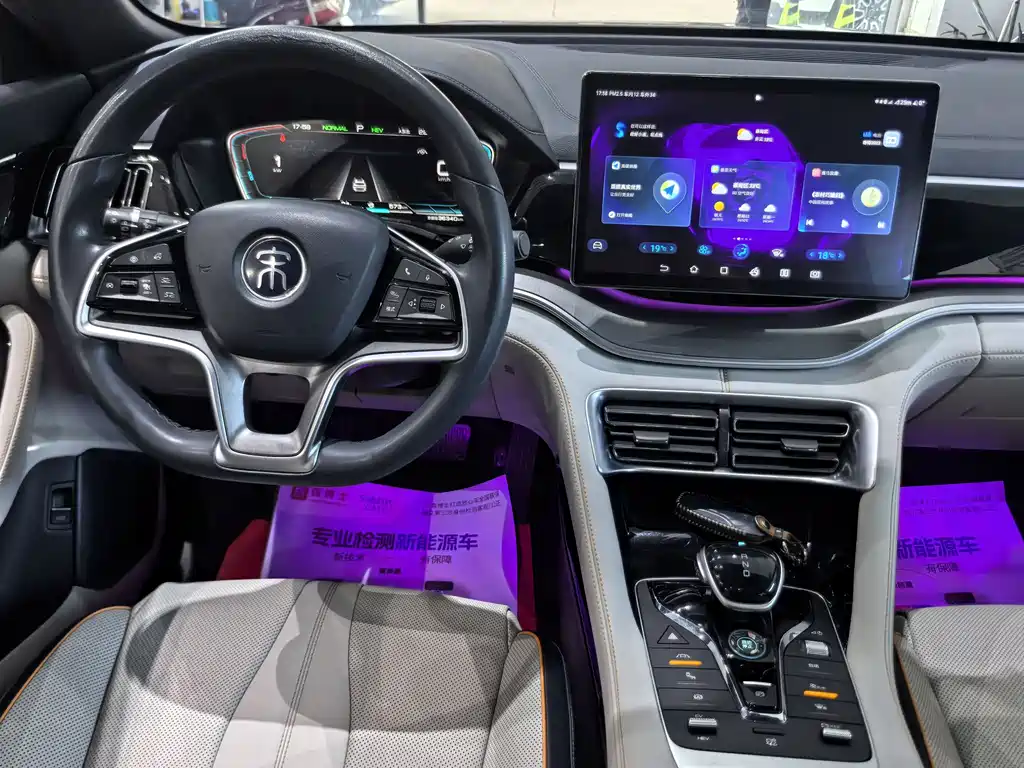 BYD PLUS New Energy 2023 — фото 6