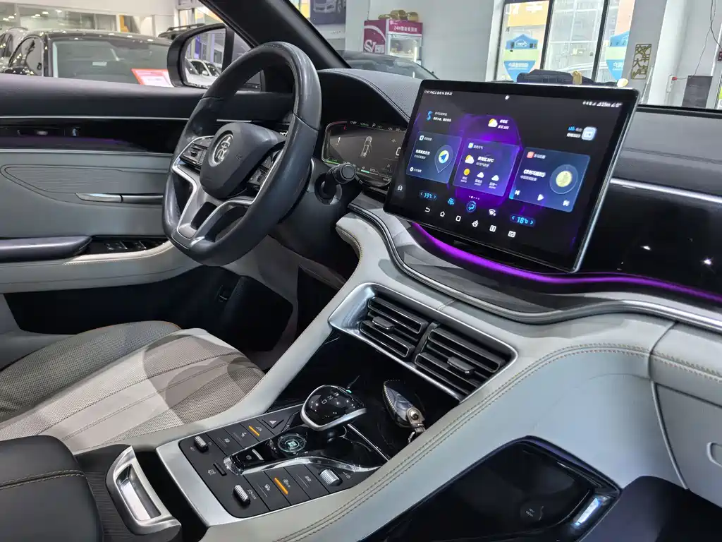 BYD PLUS New Energy 2023 — фото 12