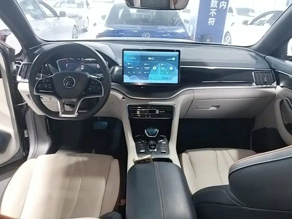 BYD Song PLUS New Energy 2021 — фото 10